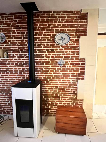 Poêle à granulés de la marque RED modèle REN